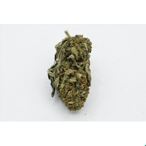 death bubba bee (1).JPG